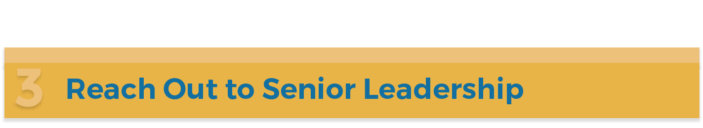 Senior Leadership